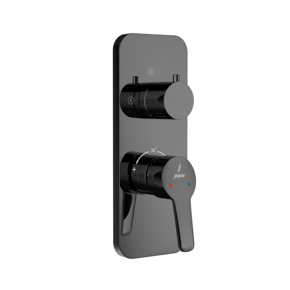 Picture of Aquamax Exposed Part Kit of Single Lever Shower Mixer  - Black Chrome