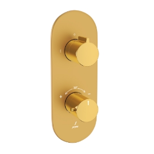 Picture of Aquamax Exposed Part Kit of Thermostatic Shower Mixer with 2-way diverter - Lever: Gold Bright PVD | Body: Gold Matt PVD