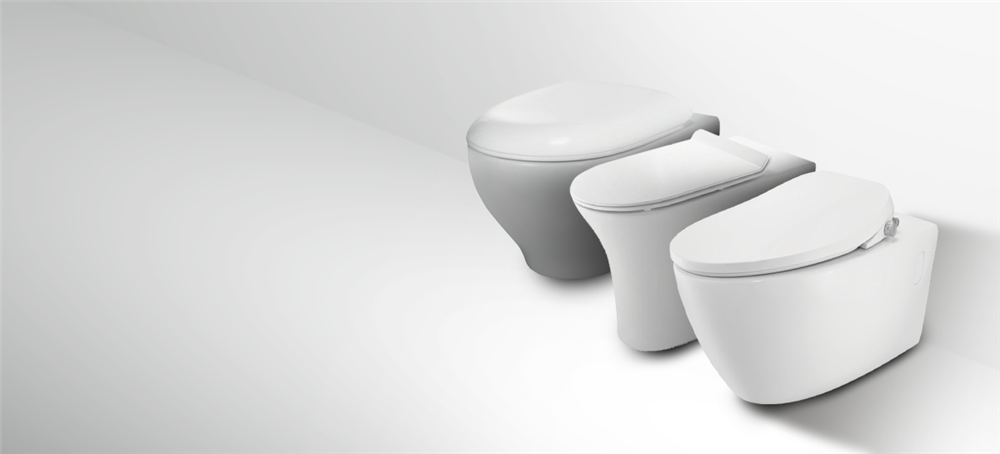 Considerations before Choosing Your Toilet