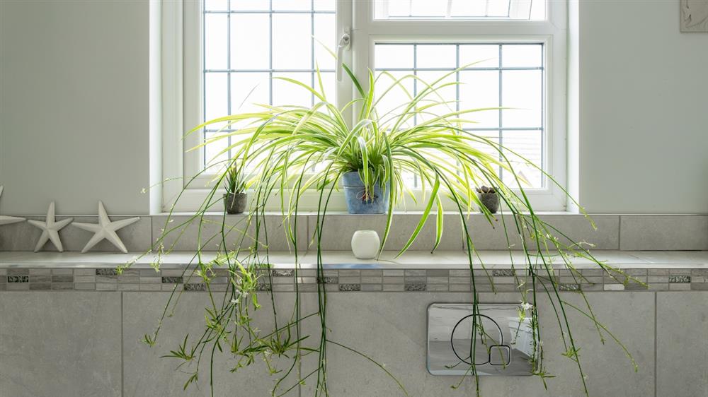 faux hanging basket plants Bulk 12" Artificial Hanging Flowers in Basket Chrysanthemum Succulent in  Coconut Basket Wholesale